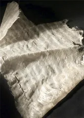 穿衣服的学问6