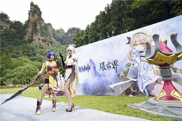 出海扬帆的国产品牌3
