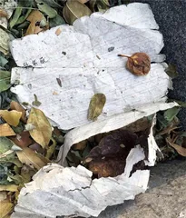 葛宇路：对抗无聊的艺术1