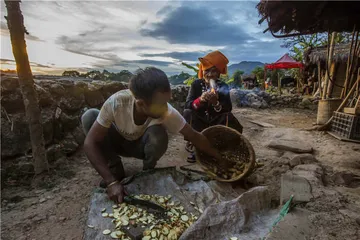 如果地球让你觉得无聊，你会怎么办？1