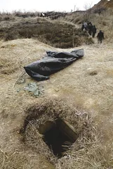 东阳古城的盗墓者