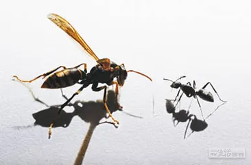 好消息·坏消息（561）3