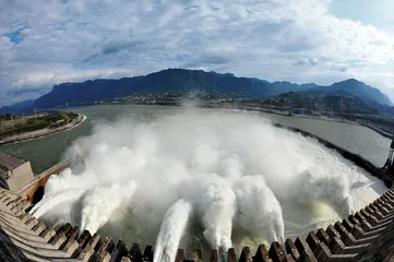 2010年提前布局电力股
