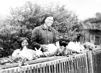 李天炳：山村摄影师的63年5