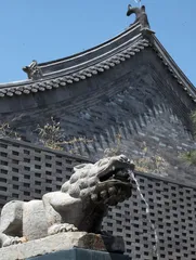 “中国人怎么住”1