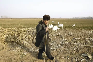 曹操疑冢踏勘:邺城西南悬疑的5平方公里1