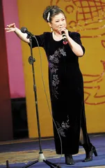 “大城市”铁岭和它的艺人们1