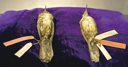 《物种起源》的起源5