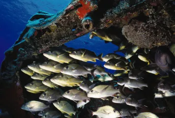 好消息·坏消息（514）3