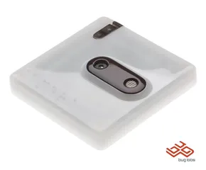 ​终于爬出盒子的虫子2