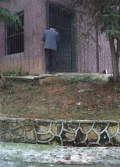 ​宜昌“打工”老虎的非正常死亡3