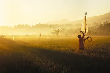 好消息·坏消息（513）2