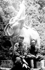 ​吴征镒:为中国植物建立户口簿5