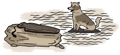 ​知音犬