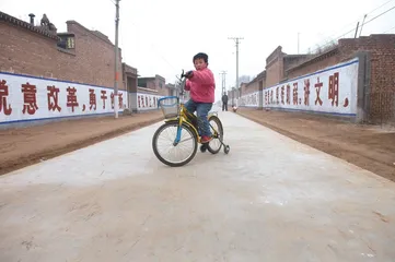 ​王文忠的富人治村路2