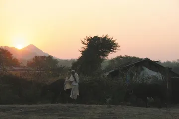 最后的亚洲狮2