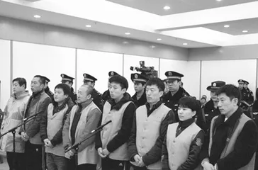 “万里大造林”案中若干细节