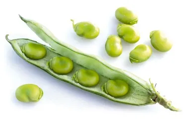 ​腊八时节话蚕豆