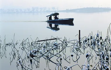 风景区里的新土地生意1