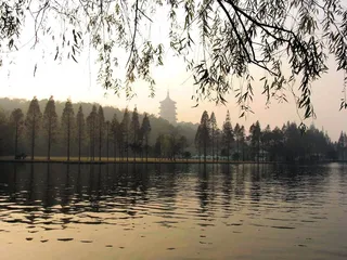 “西湖第一高楼”的用地调查1