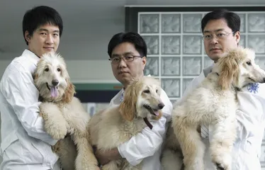 2006:科技的门槛之年2