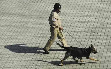 深圳关外工业区不一样的医患纠纷1