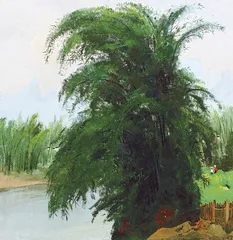 生命的风景5