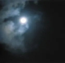 挂了画的家5