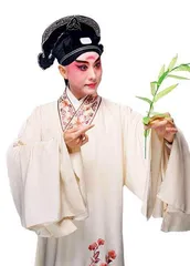 施夏明：牡丹亭外，青春无边