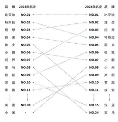 2024中国新能源汽车，谁更强？2