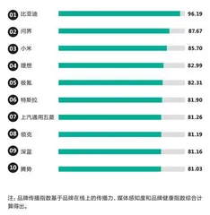 2024中国新能源汽车，谁更强？4