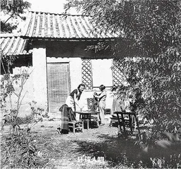 看见"窗子以外"3