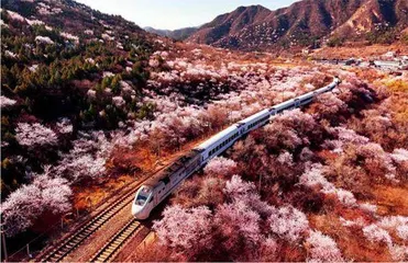 “花漾走廊”