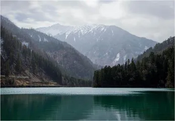 小镜头大场景1