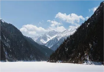 小镜头大场景3