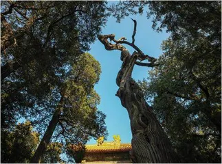 超广角镜头下的古建筑美学1