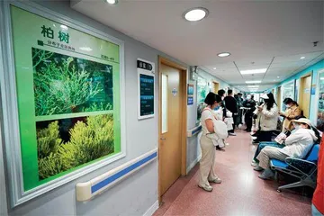 过敏诊疗之困