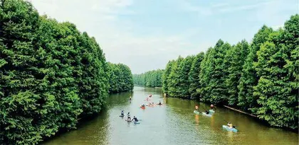 春来，上海娱水经济方兴未艾3