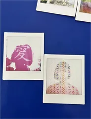 陈粉丸拍立未必得1
