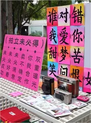 陈粉丸拍立未必得3
