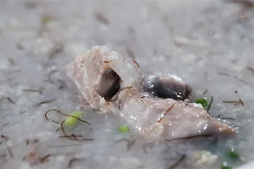 中山十样菜7