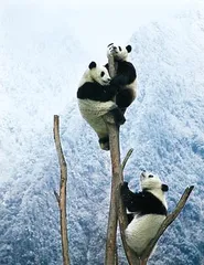 好消息·坏消息（533）4