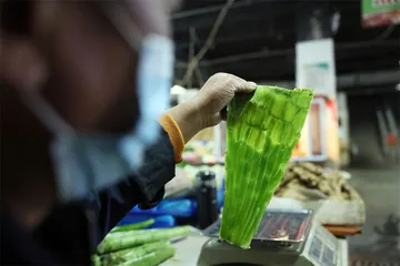 晓乐人家：吃一顿家常饭1