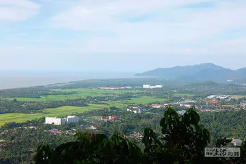 在槟城实现榴莲自由4