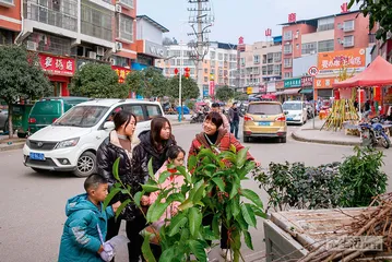 3岁女童坠楼背后：一个打工家庭的托举与下坠5