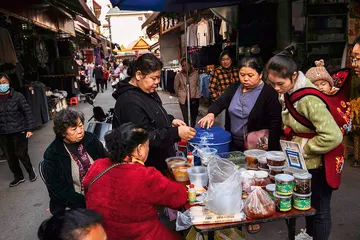 金塔之下，老王与酸角鸡2