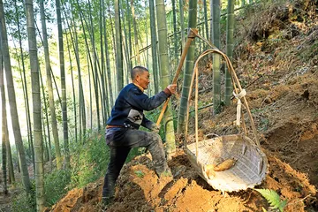 徽州二鲜2