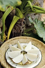 文昌食游图1