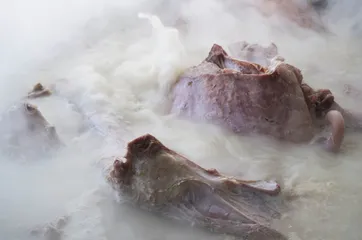 从开封到洛阳的汤汤水水
