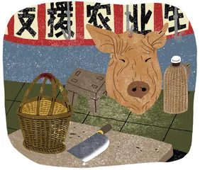 一只横空出世的猪头